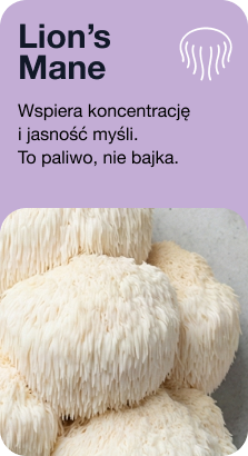 Lion's Mane. Wspiera koncentrację i jasność myśli. To paliwo, nie bajka.